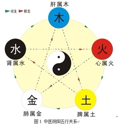 中医阴阳五行